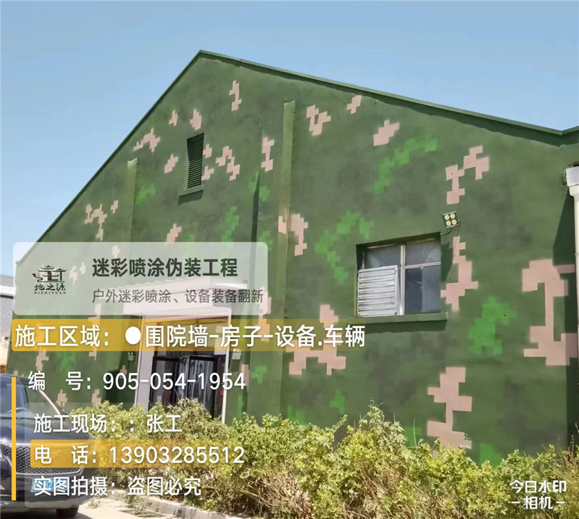 驻马店外墙数码迷彩漆施工报价清单（100㎡标准墙面测算）